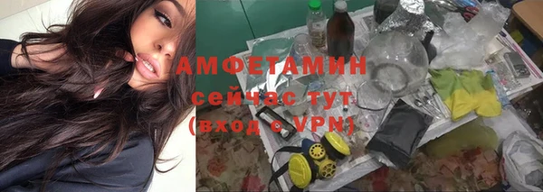 дмт Новокубанск