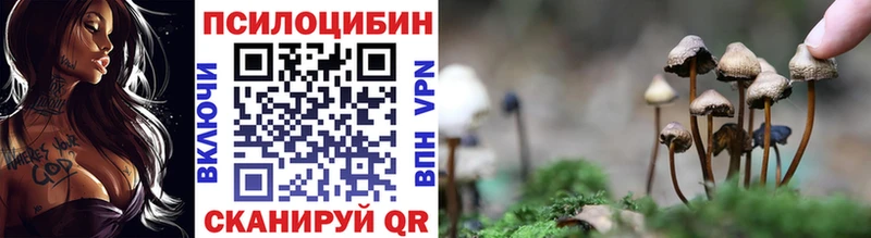 Галлюциногенные грибы мицелий где найти блэк спрут ссылки Кодинск